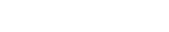 Black Flag Agency logo