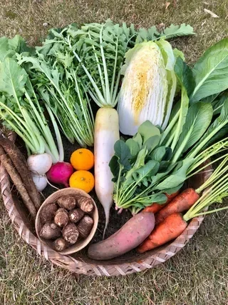 Fuku Bio Saien vegetable basket with leafy greens, daikon, Chinese cabbage and assorted root vegetables.