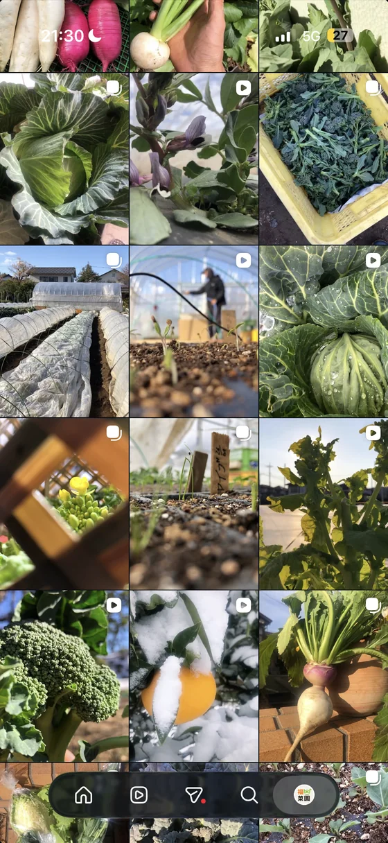 Fuku Bio Saien Instagram grid showing seasonal vegetables, seedlings, crop harvesting and the farm.