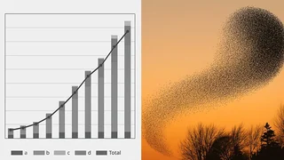Rising bar chart beside a murmuration of birds at sunset.