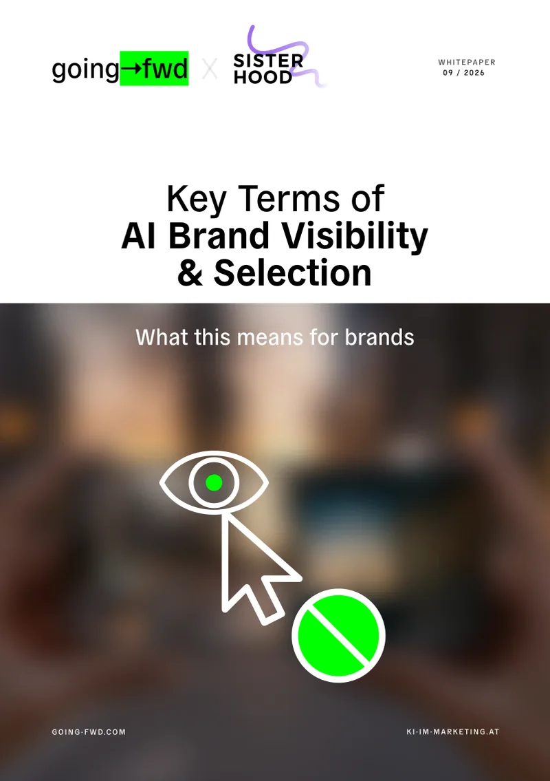 Cover of Key Terms of AI Brand Visibility & Selection